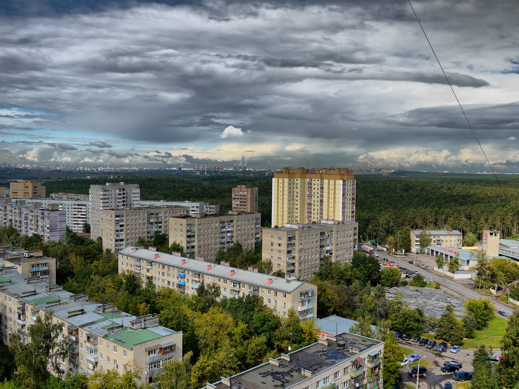 Лыткарино город московская область фото города